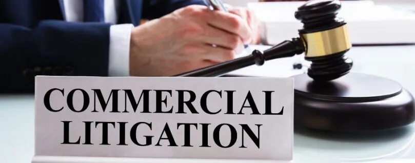 What Is A Commercial Litigation Lawyer